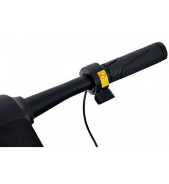 Trotineta electrica ROTAKT TE-400